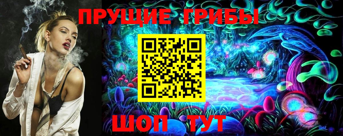 Псилоцибиновые грибы GOLDEN TEACHER Электросталь